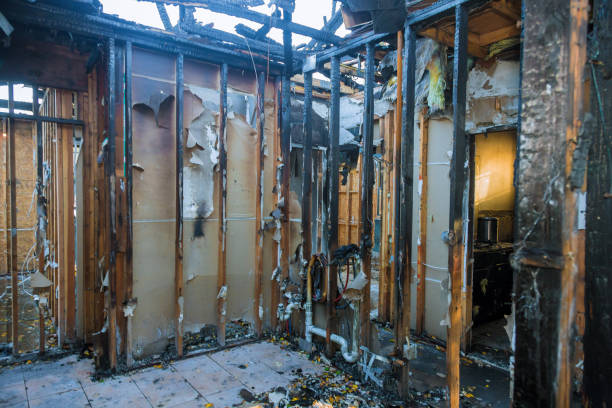 Professional Fire Damage Removal technician working in Lytle, TX